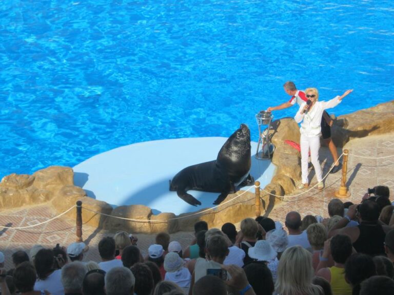 Dolphin World dolphinarium — meet the dolphins in Sharm El Sheikh — photo 6