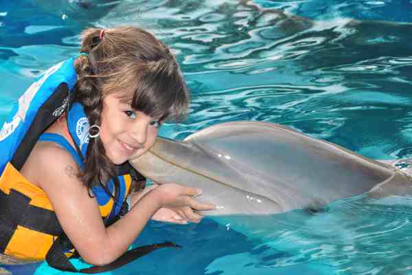 Dolphin World dolphinarium — meet the dolphins in Sharm El Sheikh — photo 2