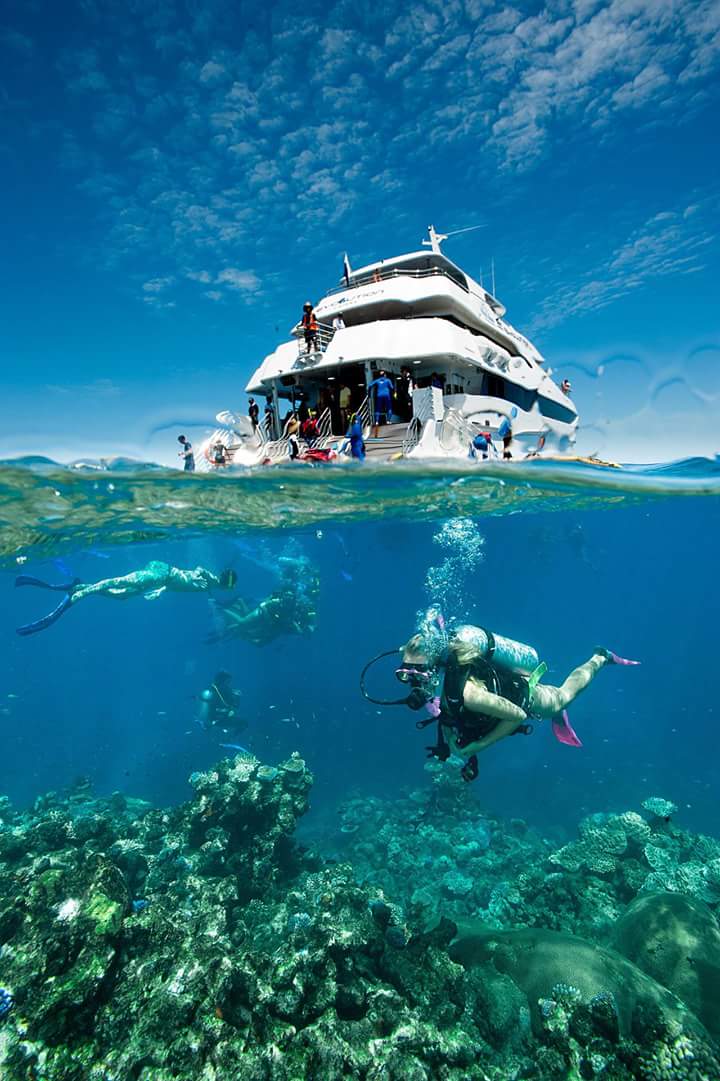 Дайв-тур на Красном море — 6 дней приключений и подводных открытий — фото 2