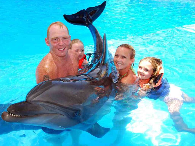 Dolphin World dolphinarium — meet the dolphins in Sharm El Sheikh — photo 3