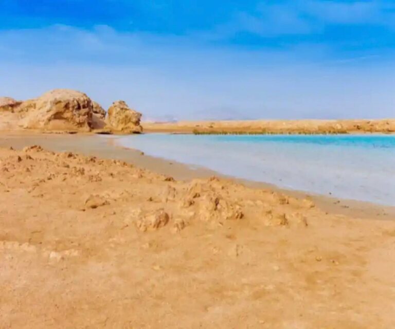 To scenic Ras Mohammed by bus in a small group — photo 5