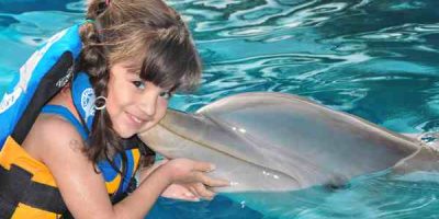 Dolphin-Adventure-6