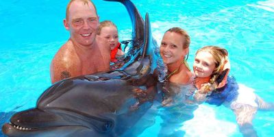 dolphin-show-1